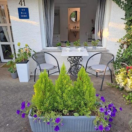 Soba Dvori Apartment Zapresic Exterior photo